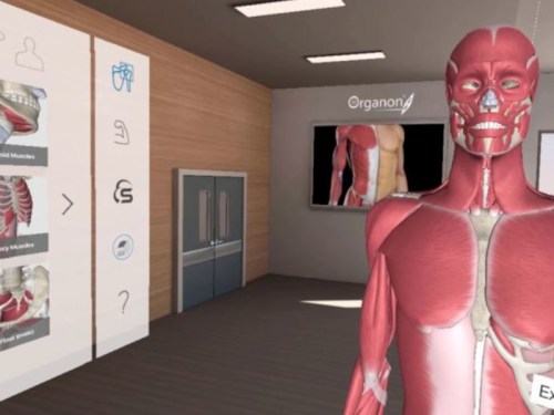 virtualni_realita_software_pro_virtualni_bryle_20221110_12385782344