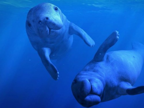 virtualni_realita_software_pro_virtualni_bryle_20221110_13320692926