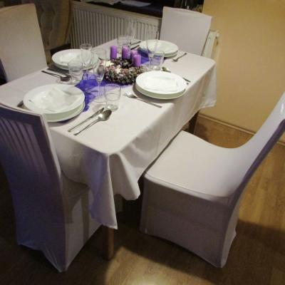 Pronajem Potahu Na Zidle 24