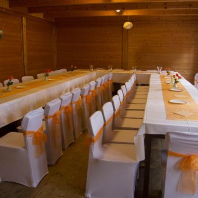 Pronajem Potahu Na Zidle 36