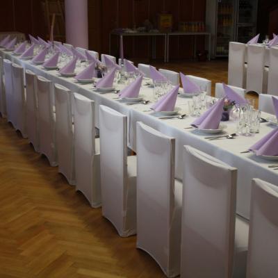 Pronajem Potahu Na Zidle 6