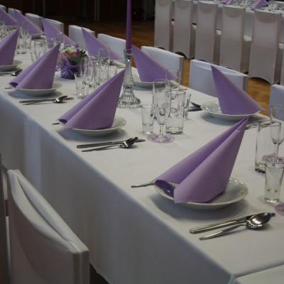 Pronajem Potahu Na Zidle 7